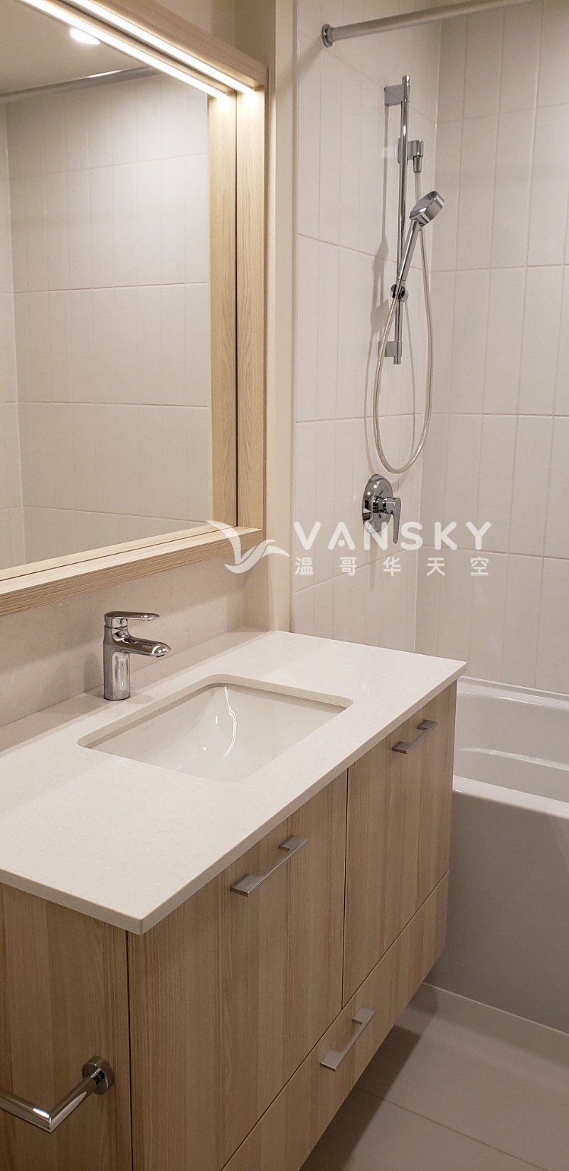 251116102325_bathroom sink.jpg